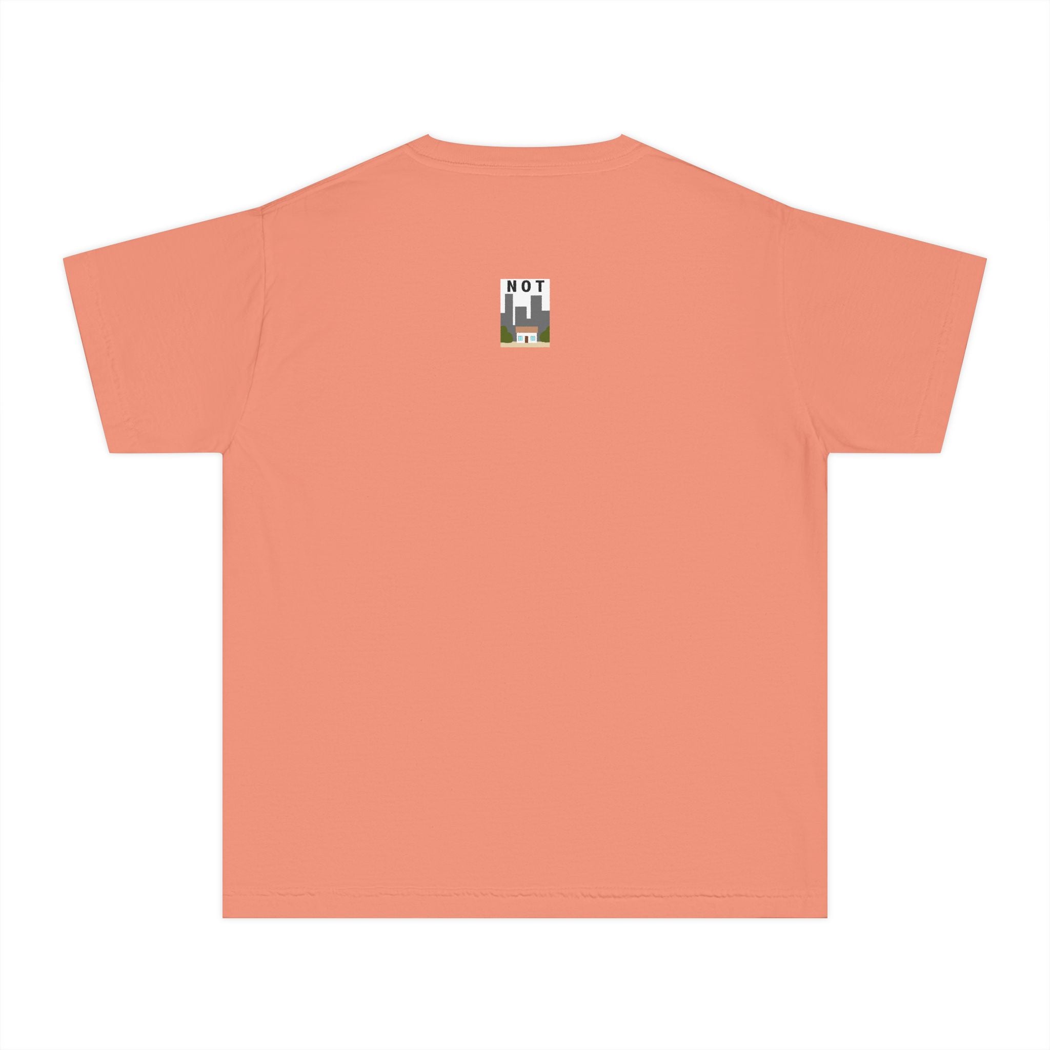 Orange Cat Youth Tee – Cute Cartoon Cat Graphic Shirt for Kids | Funny Not Cat Animal Cotton T-Shirt