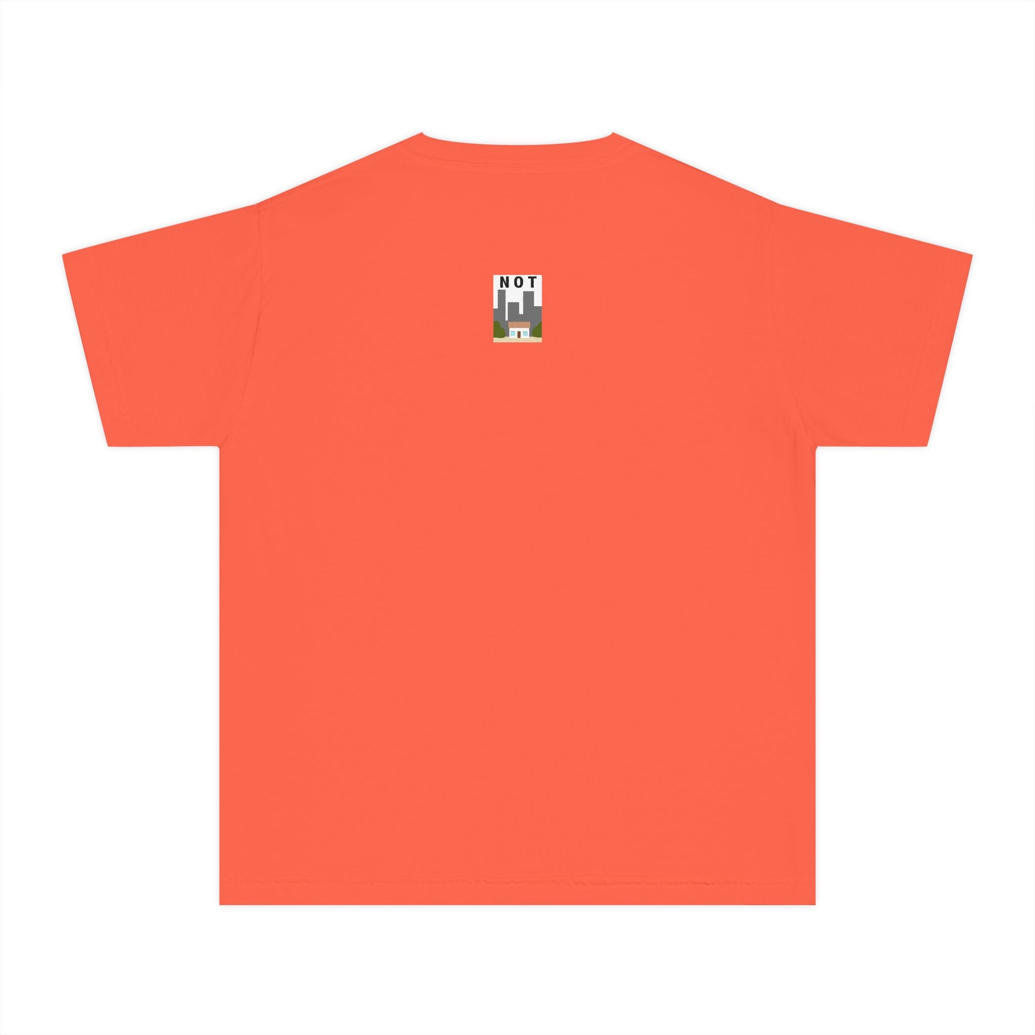 Orange Cat Youth Tee – Cute Cartoon Cat Graphic Shirt for Kids | Funny Not Cat Animal Cotton T-Shirt