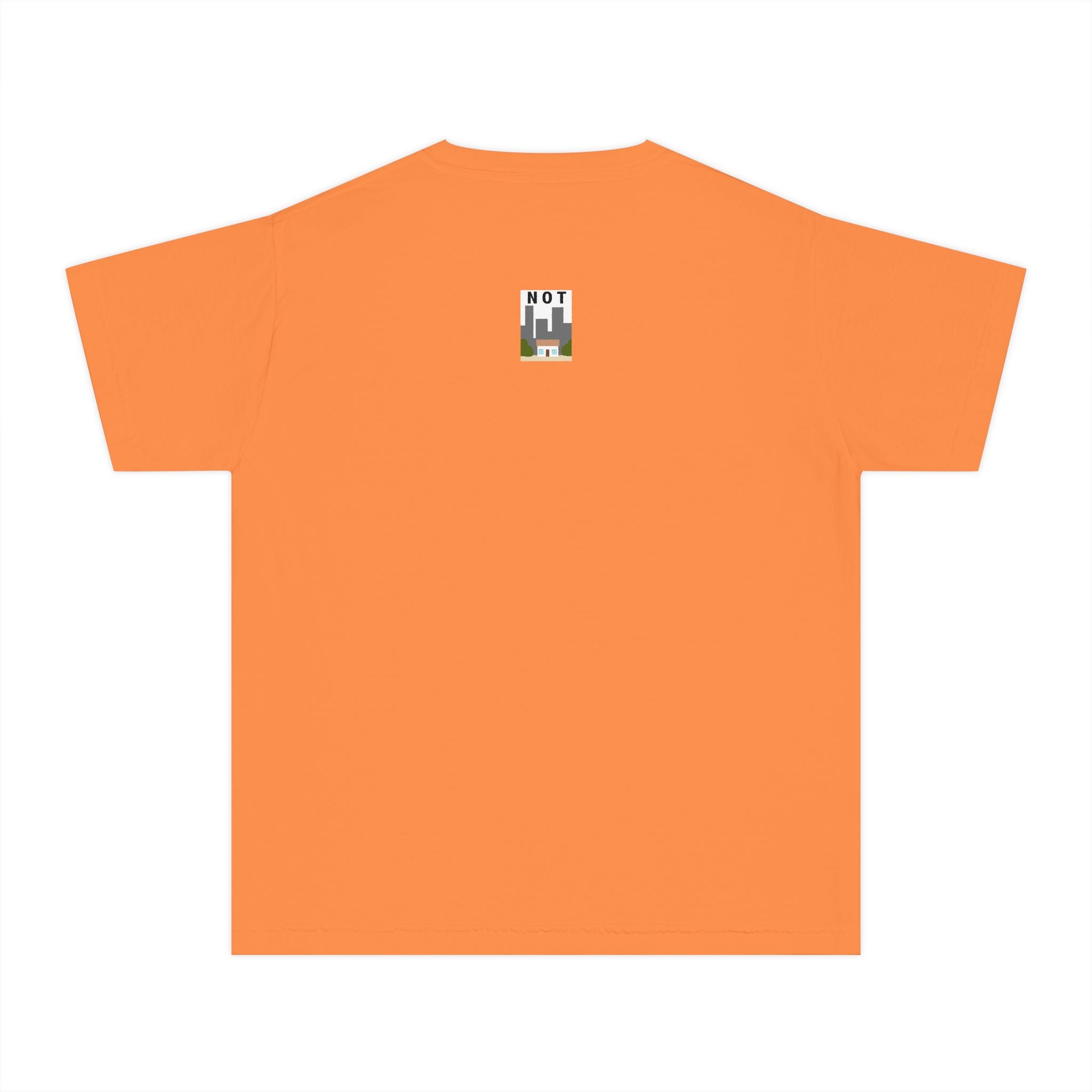 Orange Cat Youth Tee – Cute Cartoon Cat Graphic Shirt for Kids | Funny Not Cat Animal Cotton T-Shirt