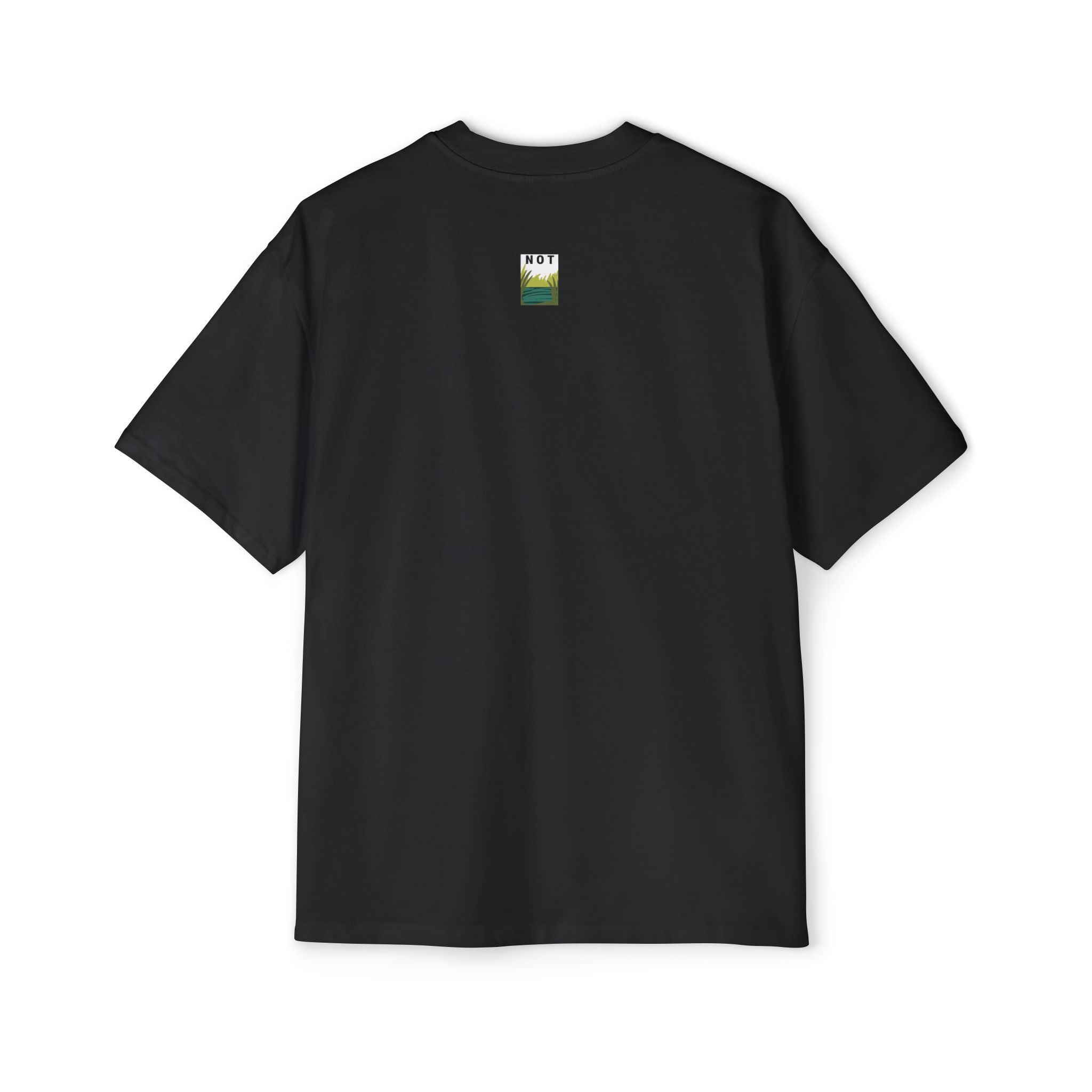 T-shirt dessin animé Capybara – T-shirt graphique oversize « Not Capybara »
