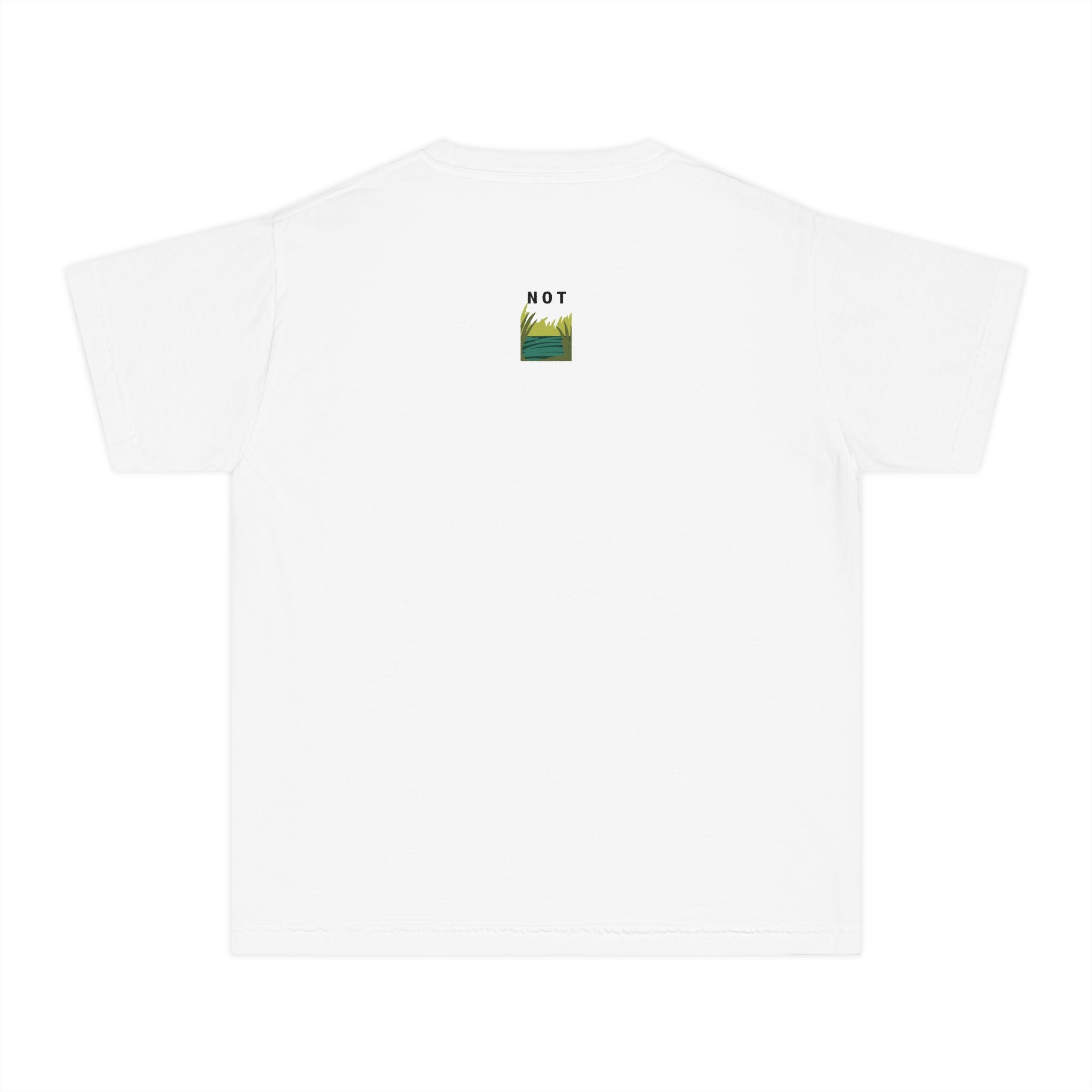 Frog Youth Tee — Cute "No Frog" Cartoon Frog Graphic Shirt